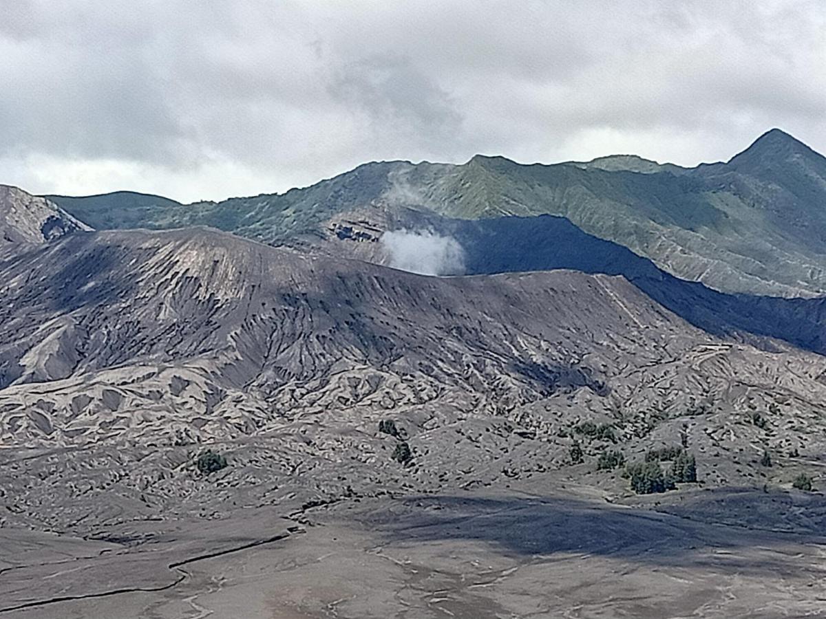 Istana Bromo Resort エクステリア 写真
